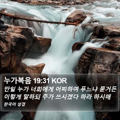 누가복음 19:31 KOR Bible Verse Image
