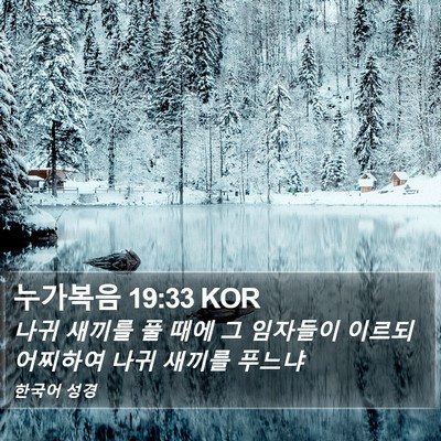 누가복음 19:33 KOR Bible Verse Image