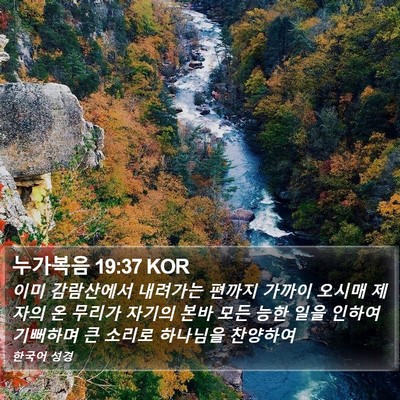누가복음 19:37 KOR Bible Verse Image