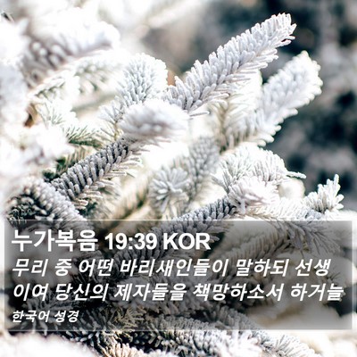 누가복음 19:39 KOR Bible Verse Image