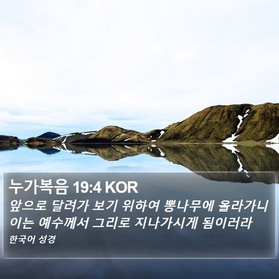 누가복음 19:4 KOR Bible Verse Image
