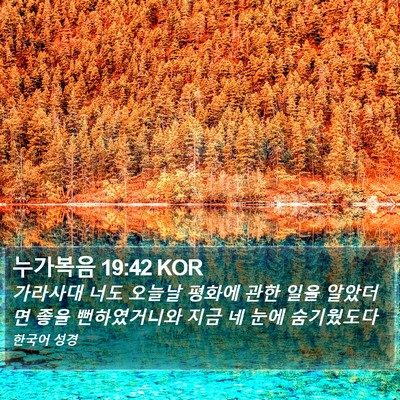누가복음 19:42 KOR Bible Verse Image