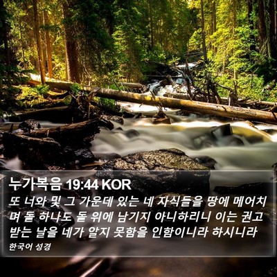 누가복음 19:44 KOR Bible Verse Image