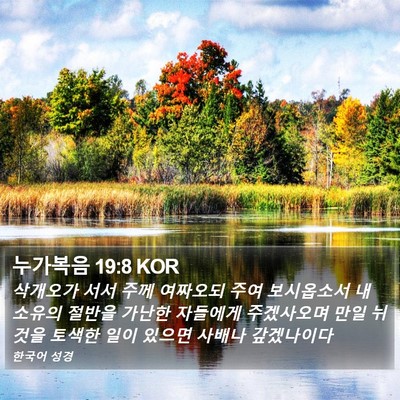 누가복음 19:8 KOR Bible Verse Image