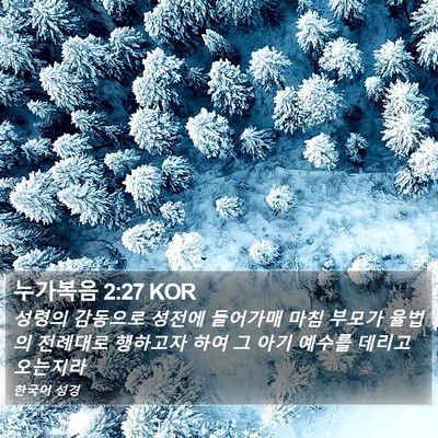 누가복음 2:27 KOR Bible Verse Image