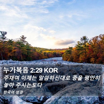 누가복음 2:29 KOR Bible Verse Image