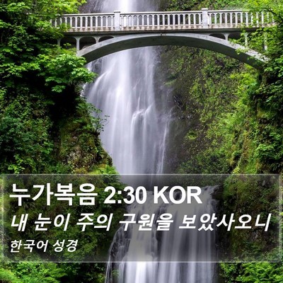 누가복음 2:30 KOR Bible Verse Image