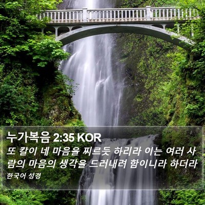 누가복음 2:35 KOR Bible Verse Image