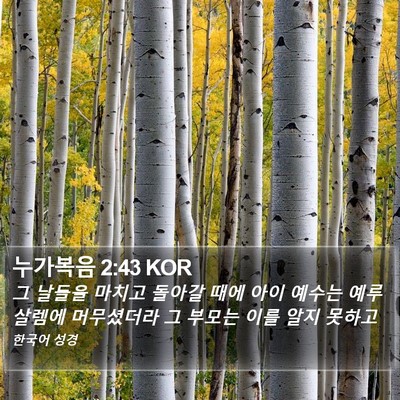 누가복음 2:43 KOR Bible Verse Image