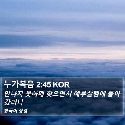 누가복음 2:45 KOR Bible Verse Image