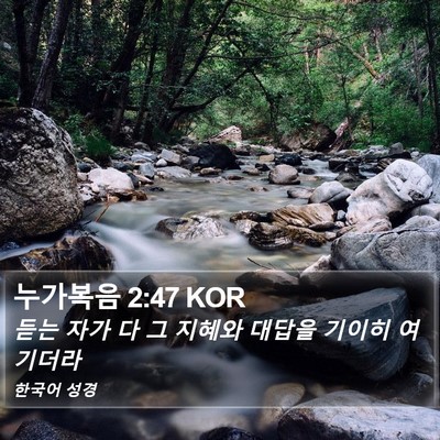 누가복음 2:47 KOR Bible Verse Image