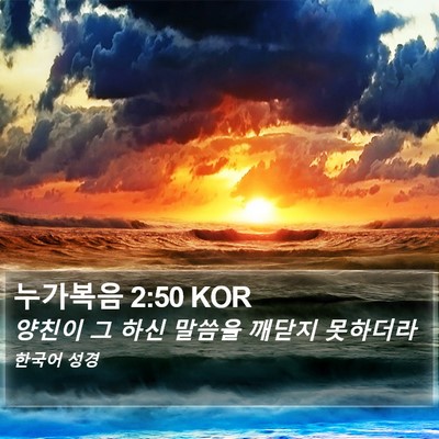 누가복음 2:50 KOR Bible Verse Image