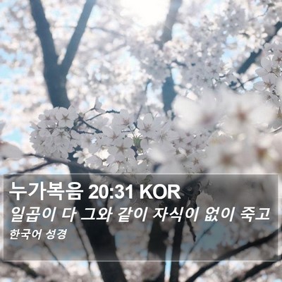 누가복음 20:31 KOR Bible Verse Image