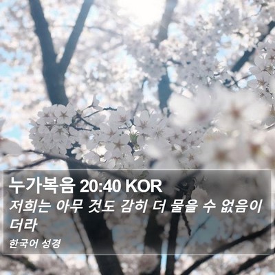누가복음 20:40 KOR Bible Verse Image
