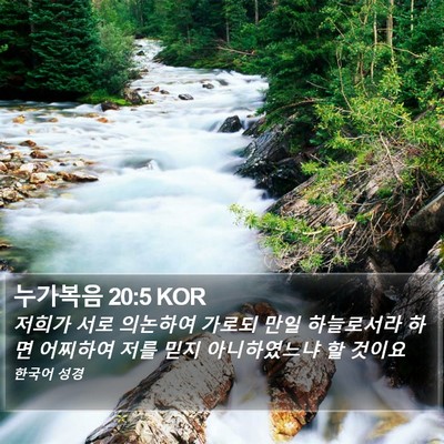 누가복음 20:5 KOR Bible Verse Image