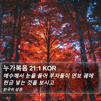 누가복음 21:1 KOR Bible Verse Image