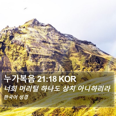 누가복음 21:18 KOR Bible Verse Image
