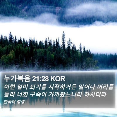 누가복음 21:28 KOR Bible Verse Image