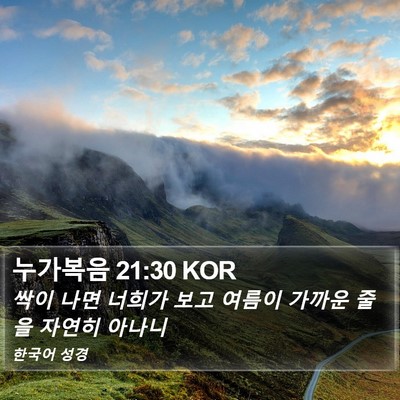 누가복음 21:30 KOR Bible Verse Image