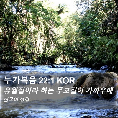 누가복음 22:1 KOR Bible Verse Image