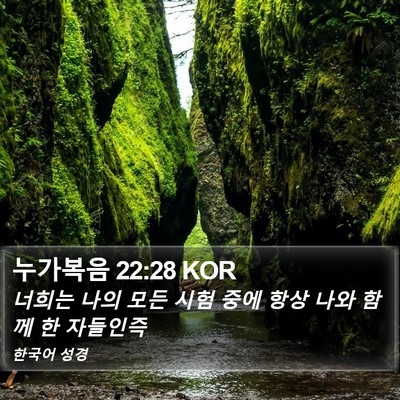 누가복음 22:28 KOR Bible Verse Image