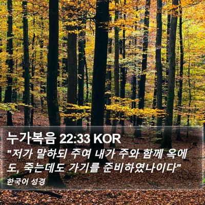 누가복음 22:33 KOR Bible Verse Image