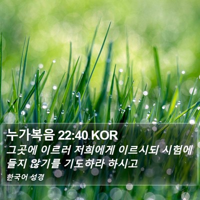 누가복음 22:40 KOR Bible Verse Image