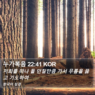 누가복음 22:41 KOR Bible Verse Image