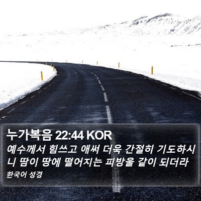 누가복음 22:44 KOR Bible Verse Image