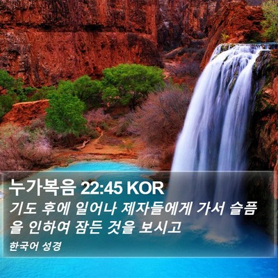 누가복음 22:45 KOR Bible Verse Image