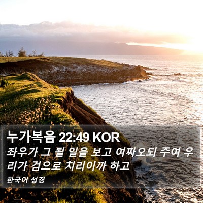 누가복음 22:49 KOR Bible Verse Image