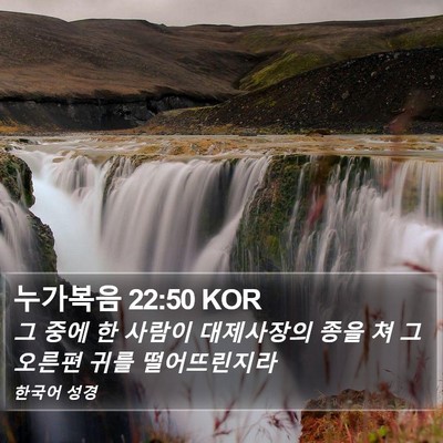 누가복음 22:50 KOR Bible Verse Image