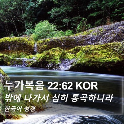 누가복음 22:62 KOR Bible Verse Image