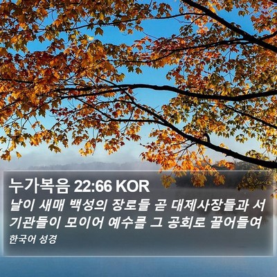 누가복음 22:66 KOR Bible Verse Image