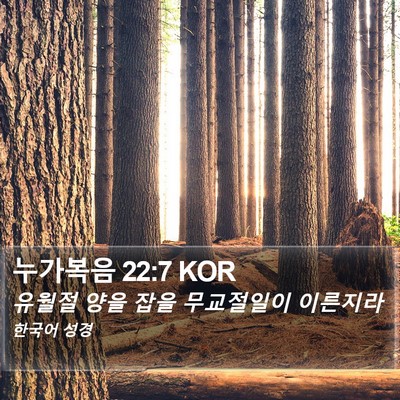 누가복음 22:7 KOR Bible Verse Image