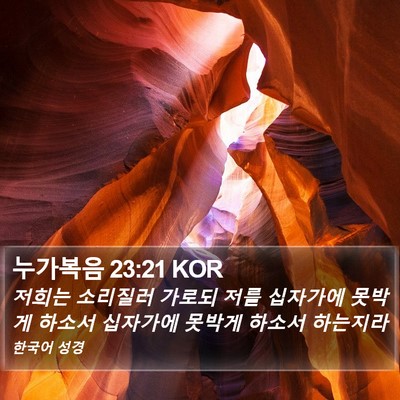 누가복음 23:21 KOR Bible Verse Image