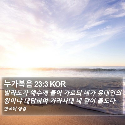 누가복음 23:3 KOR Bible Verse Image