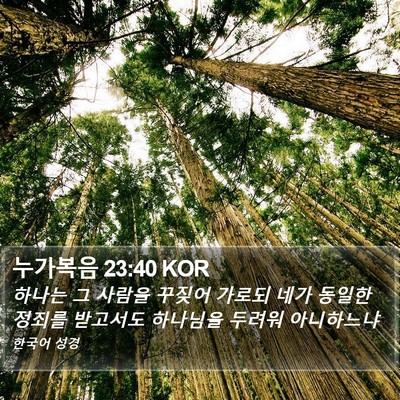 누가복음 23:40 KOR Bible Verse Image