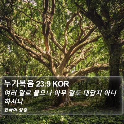 누가복음 23:9 KOR Bible Verse Image
