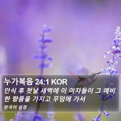 누가복음 24:1 KOR Bible Verse Image