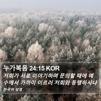 누가복음 24:15 KOR Bible Verse Image