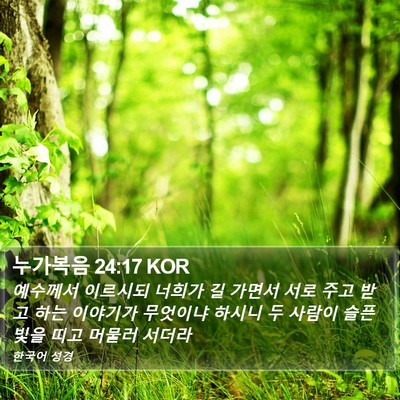누가복음 24:17 KOR Bible Verse Image