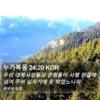 누가복음 24:20 KOR Bible Verse Image