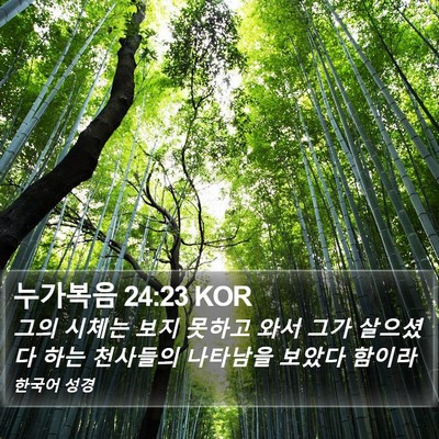 누가복음 24:23 KOR Bible Verse Image