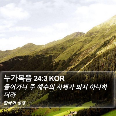 누가복음 24:3 KOR Bible Verse Image