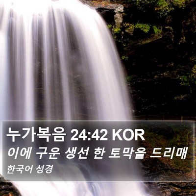 누가복음 24:42 KOR Bible Verse Image