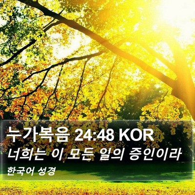 누가복음 24:48 KOR Bible Verse Image