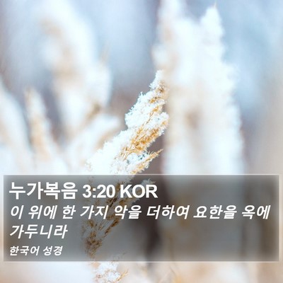 누가복음 3:20 KOR Bible Verse Image