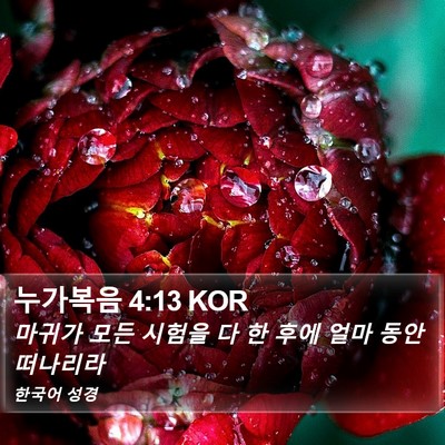 누가복음 4:13 KOR Bible Verse Image