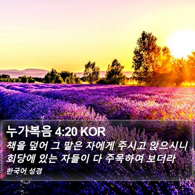 누가복음 4:20 KOR Bible Verse Image